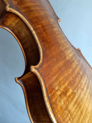 cariplo4.png